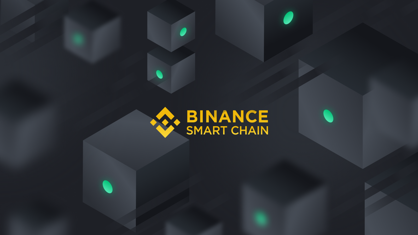 This is a picture of the Binance Smart Chain